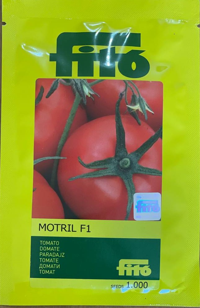 Томат Мотрил